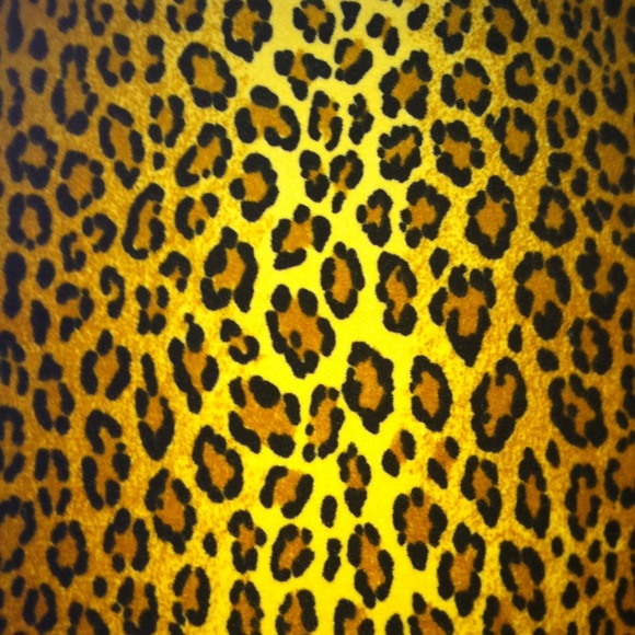 Meet your Posher, Ari - Picture 1 of 1